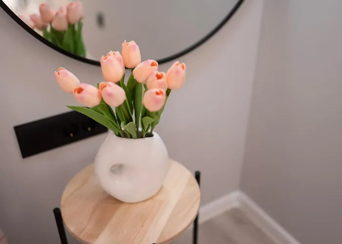 Regent Blue Apartments-free Private Parking * Mostar